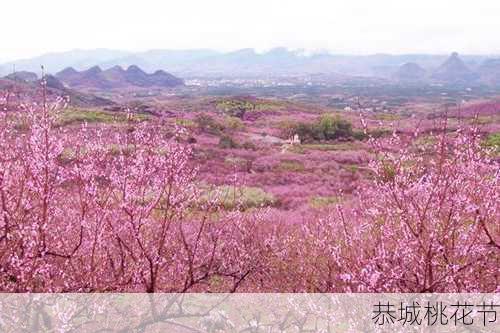 恭城桃花节