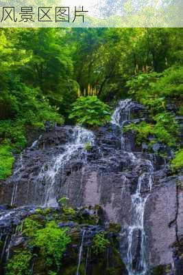 风景区图片