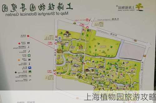 上海植物园旅游攻略