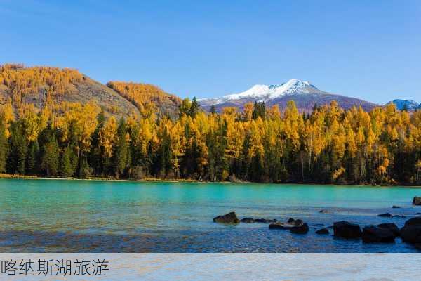 喀纳斯湖旅游