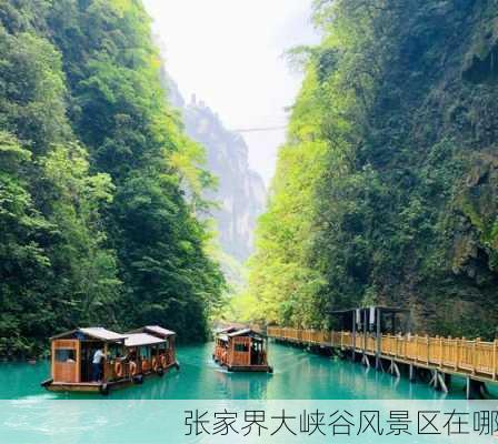 张家界大峡谷风景区在哪