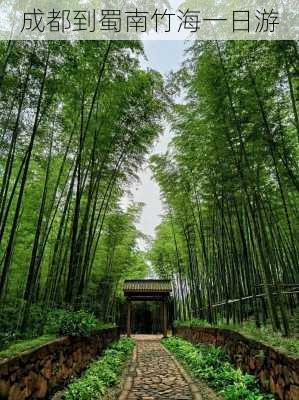 成都到蜀南竹海一日游