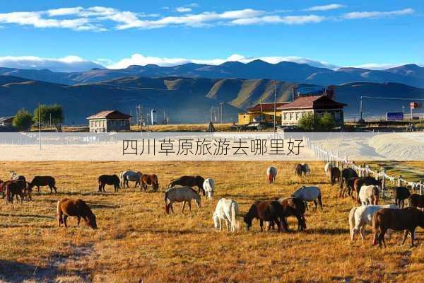 四川草原旅游去哪里好