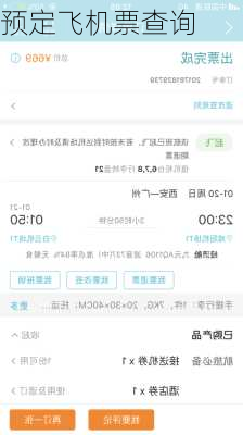 预定飞机票查询