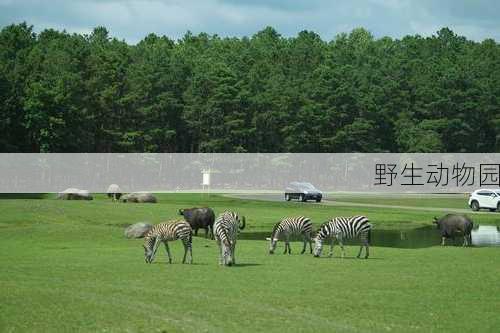 野生动物园