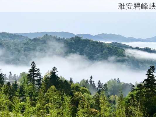 雅安碧峰峡