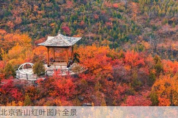 北京香山红叶图片全景