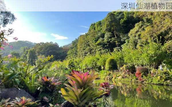 深圳仙湖植物园