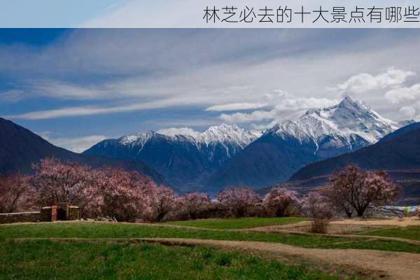 林芝必去的十大景点有哪些