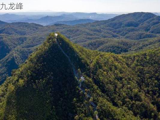 九龙峰