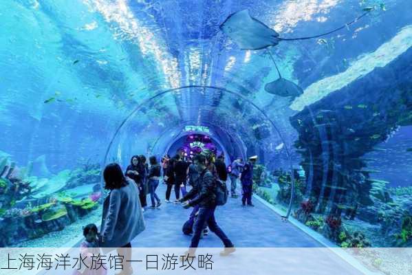 上海海洋水族馆一日游攻略