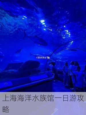 上海海洋水族馆一日游攻略