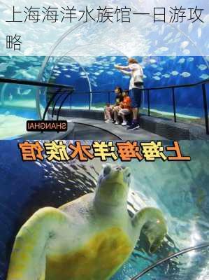 上海海洋水族馆一日游攻略