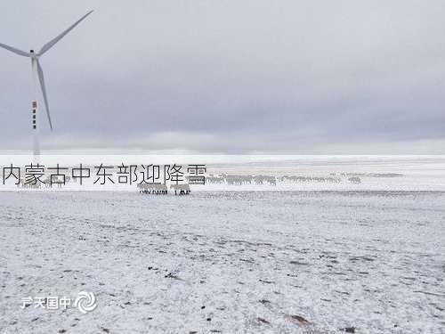 内蒙古中东部迎降雪