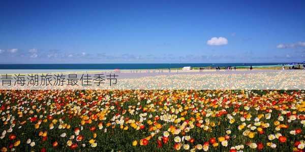 青海湖旅游最佳季节