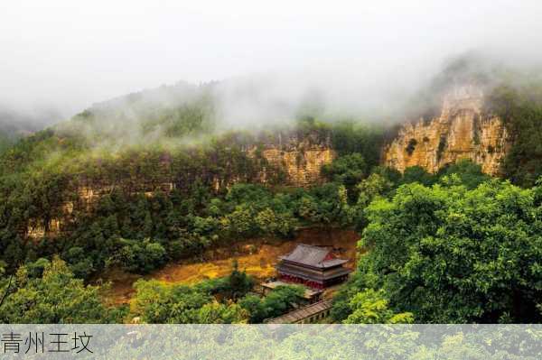 青州王坟