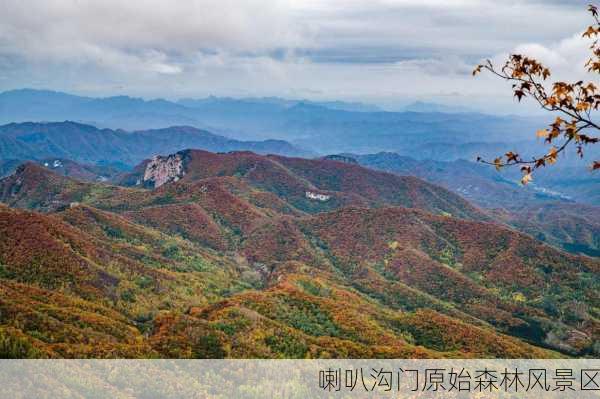 喇叭沟门原始森林风景区