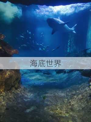 海底世界