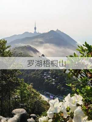 罗湖梧桐山