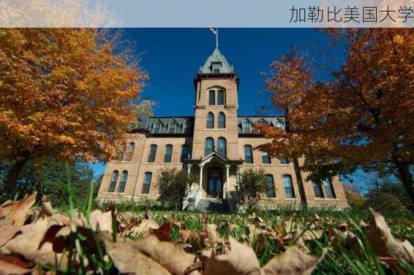 加勒比美国大学