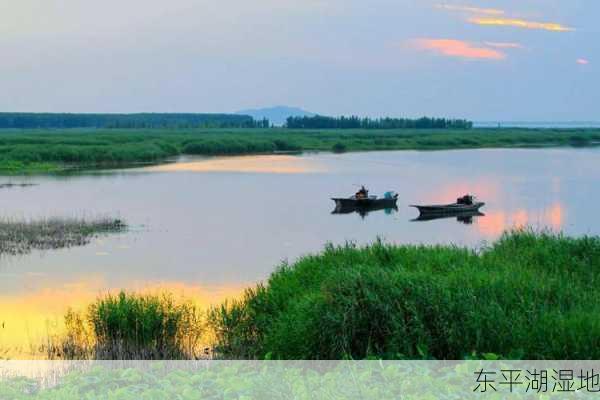 东平湖湿地