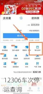 12306车次停运查询
