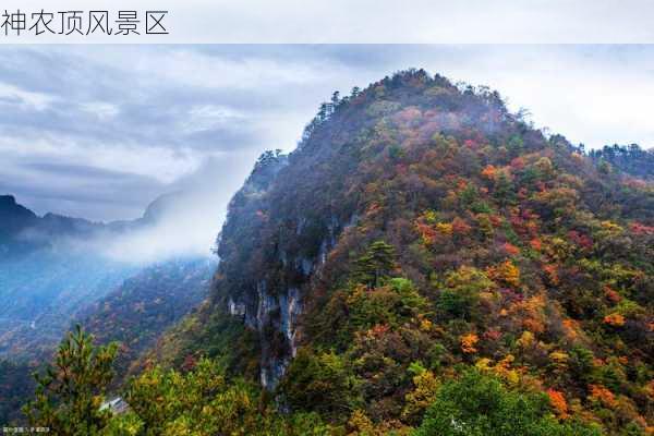 神农顶风景区