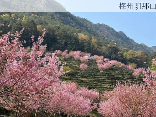 梅州阴那山